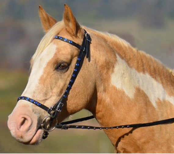 Draft Horse SizeICELANDIC BRIDLE made from Beta Biothane