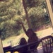 riss715