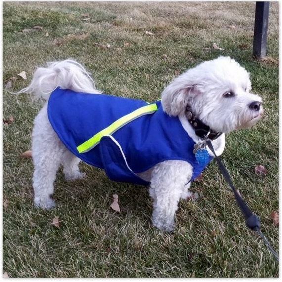 Custom Made Dog Coats Large Extra Large the CHEWY by TheBossyCow