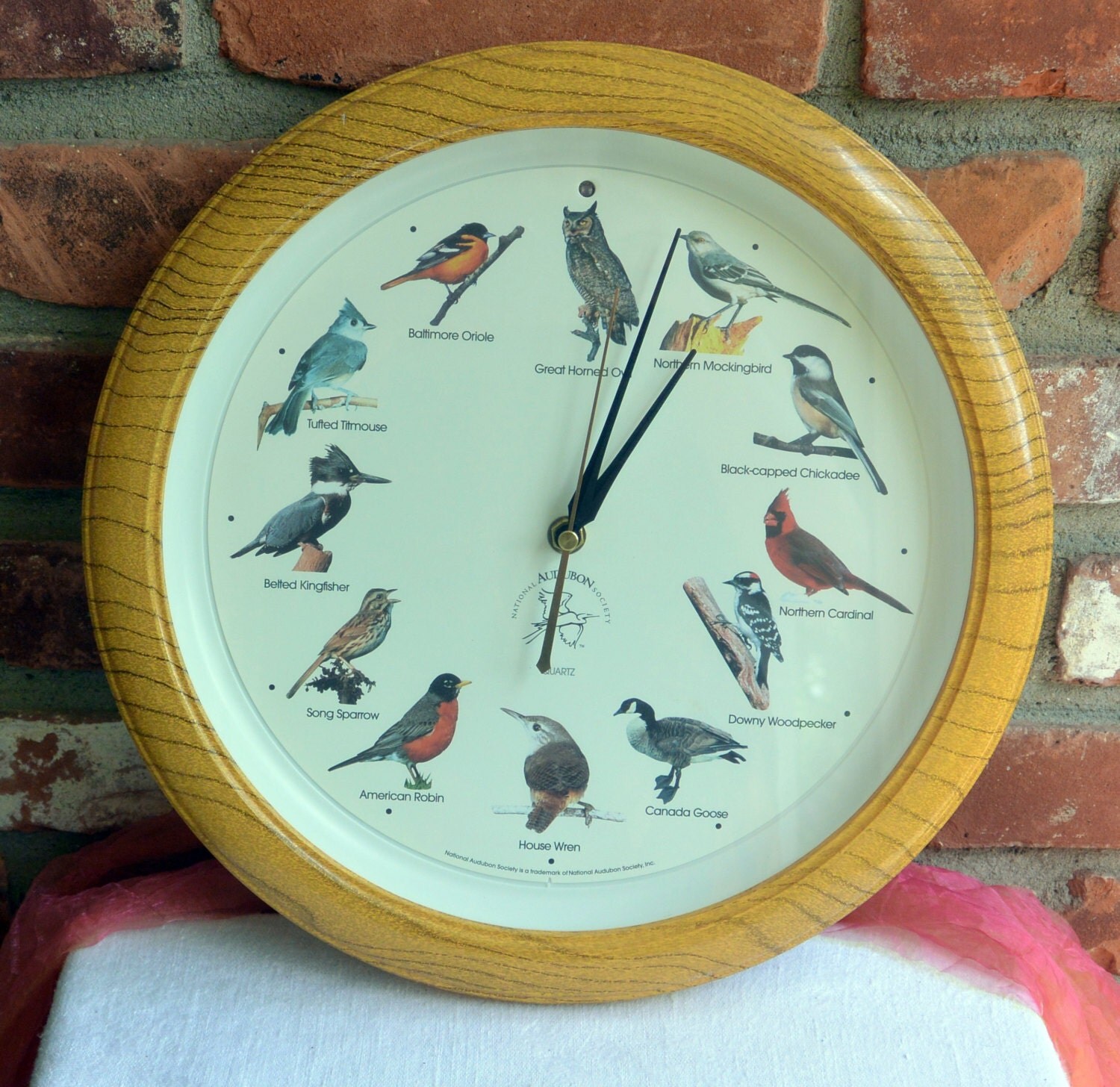 Vintage Bird Clock Audubon Society Multi Bird Species