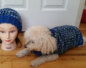 Guinea Pig Sweater/Roll Brim Hat Matching SET in Boho Sparkle