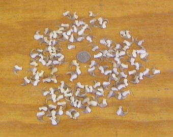 125 Real Kansas Bobcat Claws