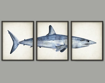 Mako Shark Watercolor Art Poster Set Of 3 - Shark Art Print - Mako Shark Poster - Bathroom Wall Art - Ocean Decor - Marine Biology (AB561)