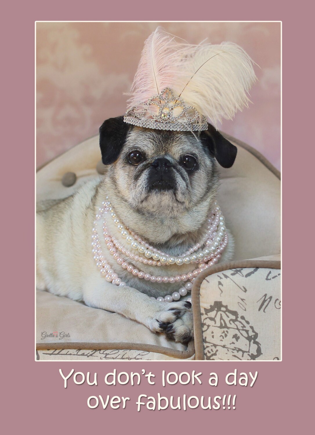 Funny Birthday Card for Her - You Don't Look A Day Over Fabulous