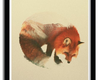 Affiche snow fox par Andreas Lie
