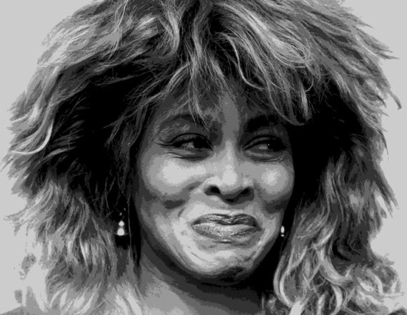 Tina Turner / Barbara Streisand / Bob Dylan Pop Art Paint By