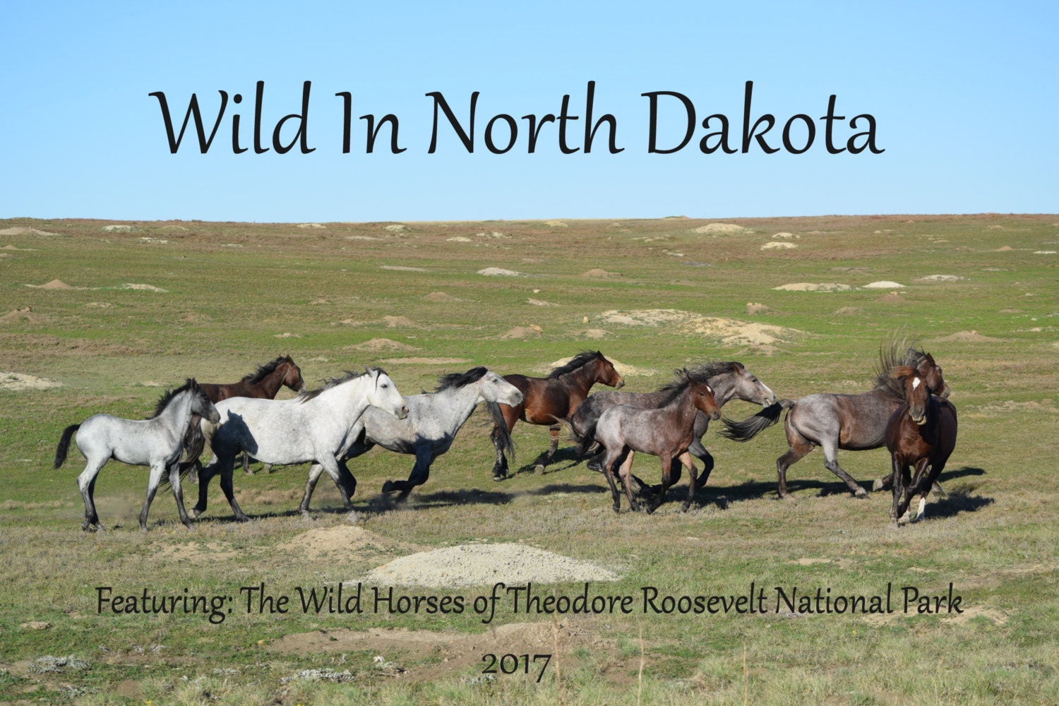 2017 Wild in North Dakota Calendar