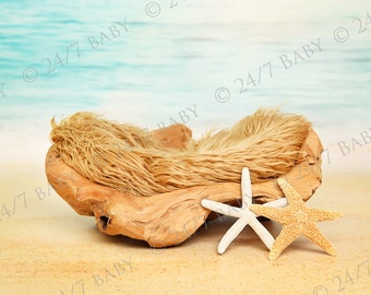 Newborn Digital Backdrop Instant Download Newborn Baby Photography Driftwood Beach Ocean Scene Prop Starfish