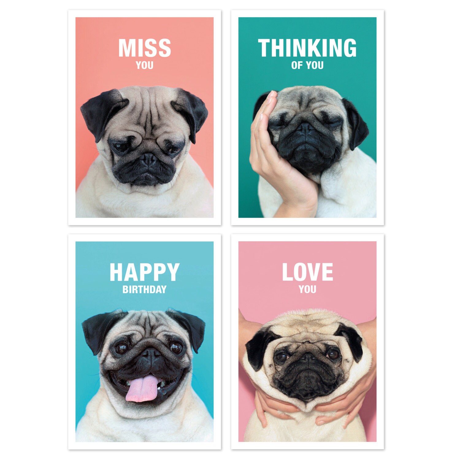 Set of 4 Loulou the Pug Greeting Cards