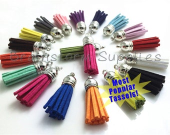 Tassels - Small Tassels - 10 or 25 Tassel Charms - Silver Cap, Assorted Color Mix - Jewelry Tassels - Keychain Tassel - Wine Charm - TC-S001