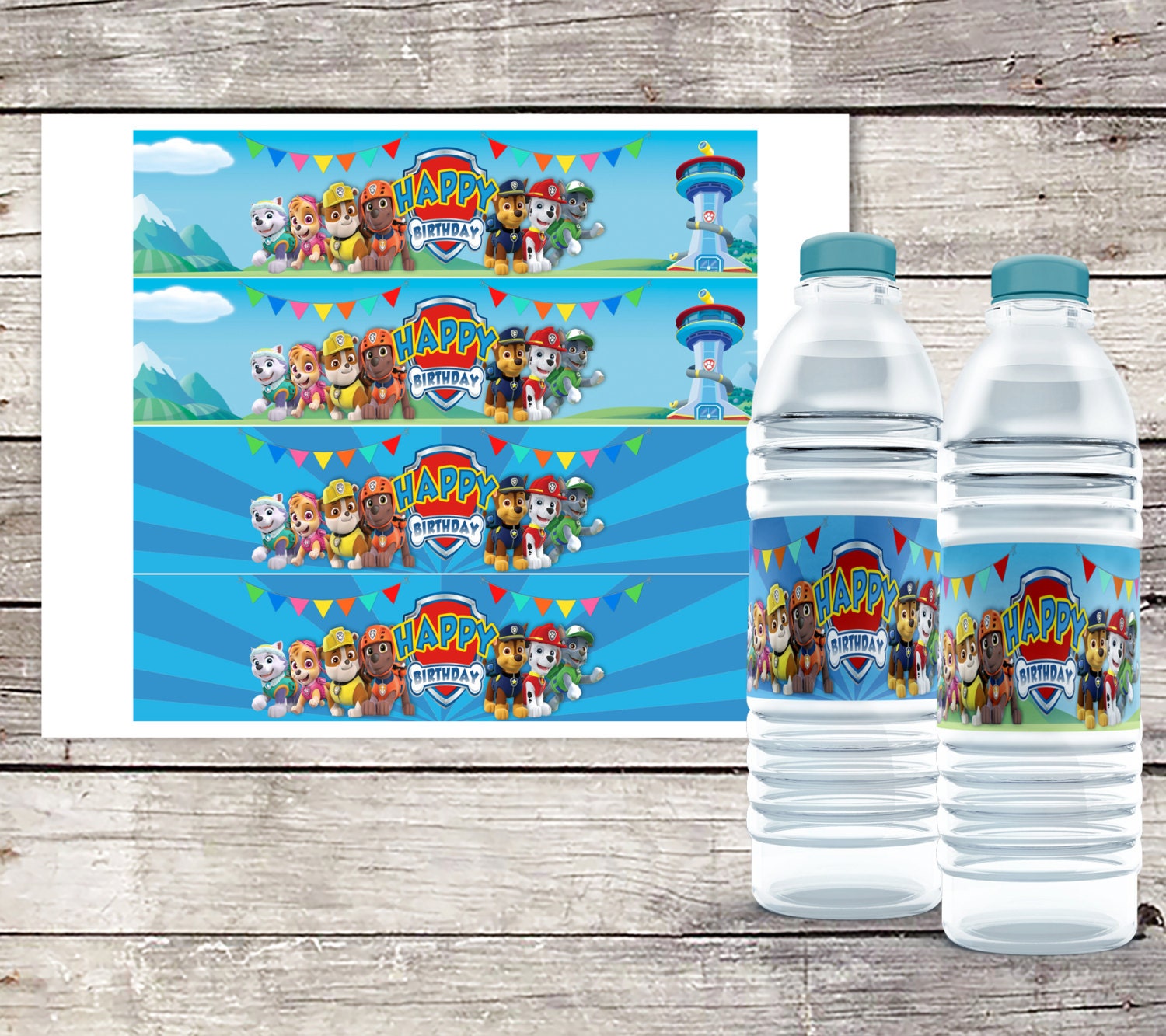 paw patrol water