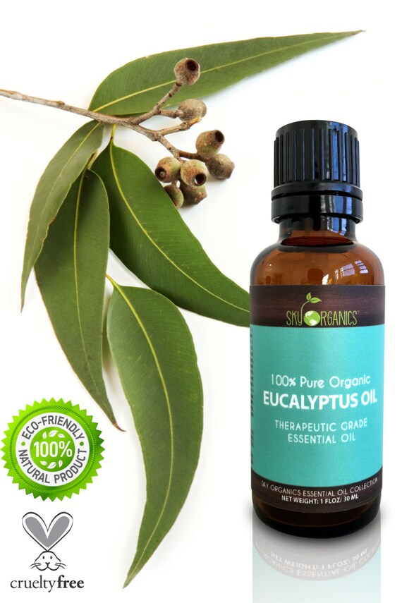 Organic Eucalyptus Essential Oil By Sky Organics 100 Pure