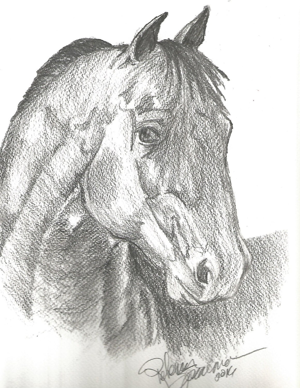 Horse Horse Drawing Horse Print Horse Pencil Drawing