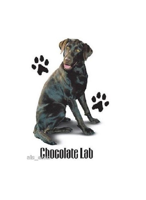 chocolate lab t shirt