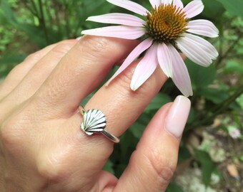 Silver Seashell Ring, Sterling Silver Clam Shell Ring, Beach, Summer Jewelry