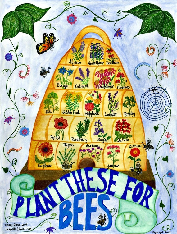 18 x 24 Pollination poster Plant These For Bees