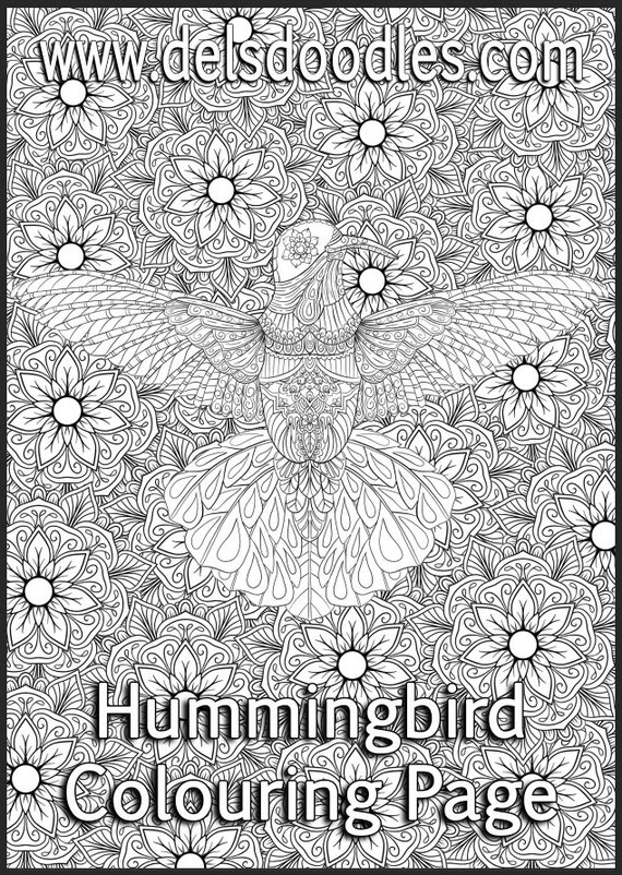Hummingbird Detailed Colouring Page