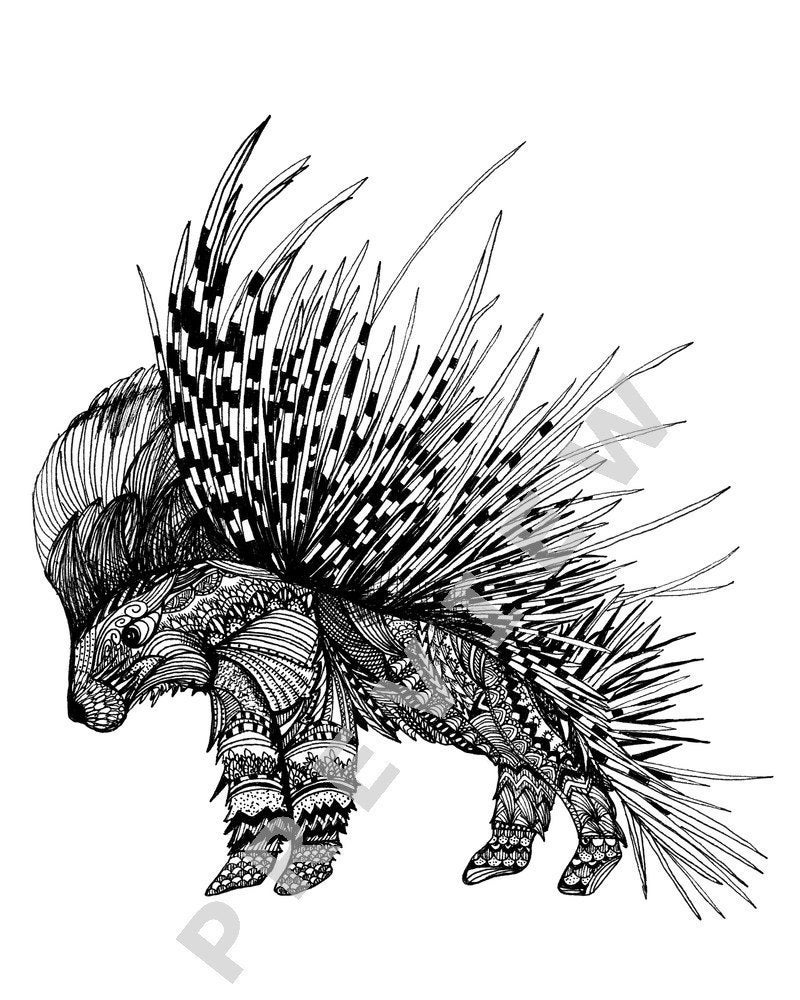 Porcupine Drawing 8x10 5x7 Porcupine Art Animal Art Ink