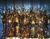 Twig Sconce - Wall Sconce Light - Light Up Branches - Twig Sconce - Up Down Light Fixture - Natural Grapevines - Kaskaskia Twig Sconce - Wall Sconce Light - Light Up Branches - Twig Sconce - Up Down Light Fixture - Natural Grapevines - Kaskaskia