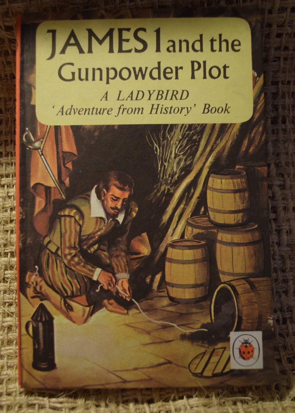 James I and the Gunpowder Plot. A Vintage Children's