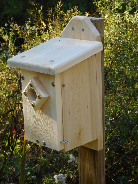 Blue Bird HouseCedar Slant Roof Bird HouseWood Bird House