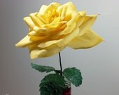 Coffee Filter Roses-Long Stem Yellow Paper Coffee Filter Roses-Paper Flowers-First Anniversary Gift-Easter Flowers-100% Handmade and Unique Coffee Filter Roses-Long Stem Yellow Paper Coffee Filter Roses-Paper Flowers-First Anniversary Gift-Easter Flowers-100% Handmade and Unique