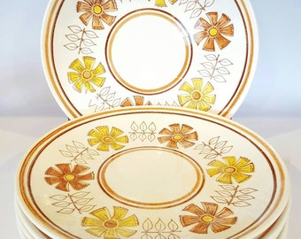 Taylor Ironstone Straw Flower Brown Dinnerware Set
