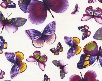 Viola Fabric Collection: Ivory Butterflies Fabric by Chong-a Hwang for Timeless Treasures - Listed by the half yard