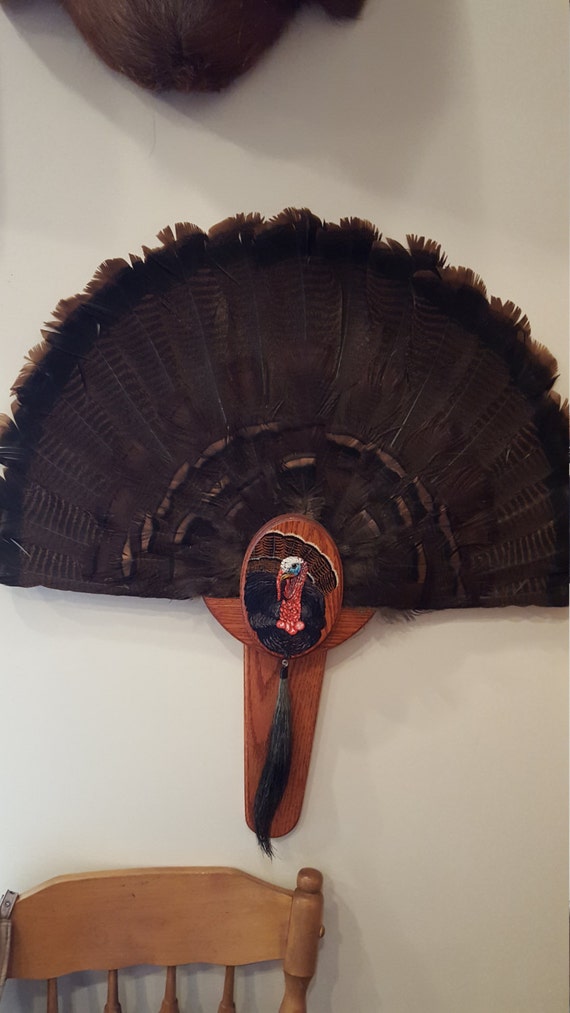 Painted Turkey Tail Mount Kit