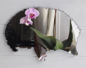 Cute Hedgehog Acrylic Mirror