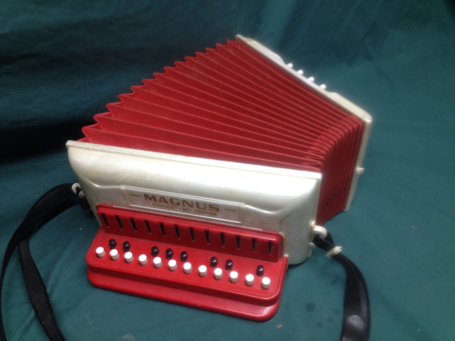 accordion toy