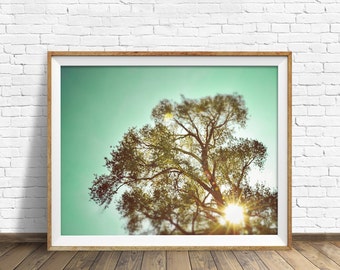 photography, sky, summer, instant download art, printable art, photography, instant download, farmhouse chic, nature - "Fleeting Memories"