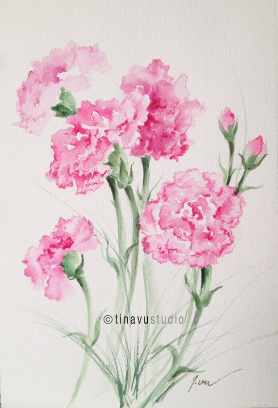 January birthday flowers. Pink carnations. Original watercolor
