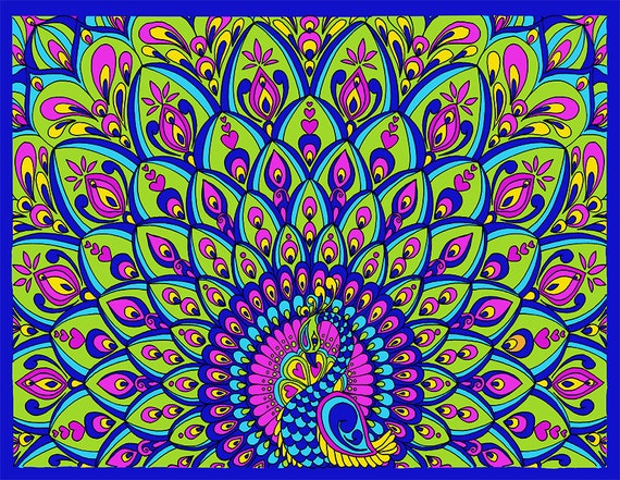 Peacock Coloring Page Bird Animal Coloring Detailed and