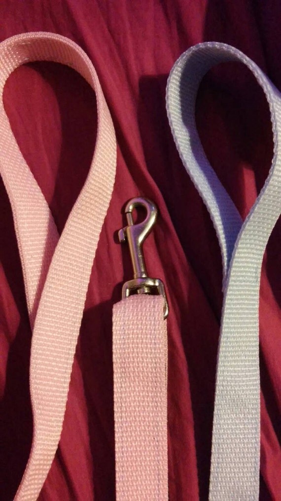 Pet in Training Leash BDSM Kitten Play Leash by