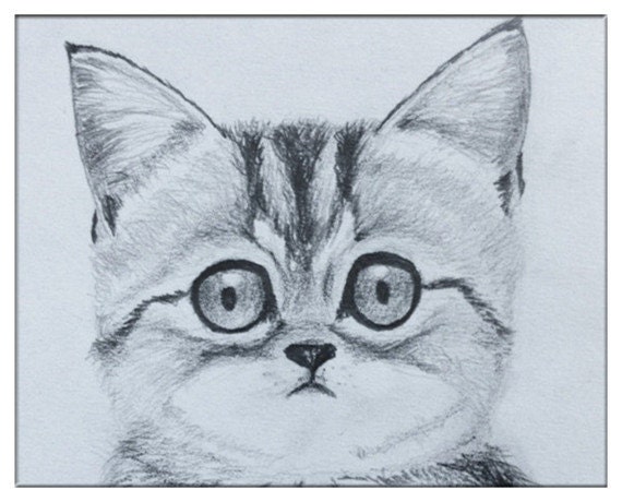 Grey Tabby Kitten Original Pencil Drawing Picture Cute Black