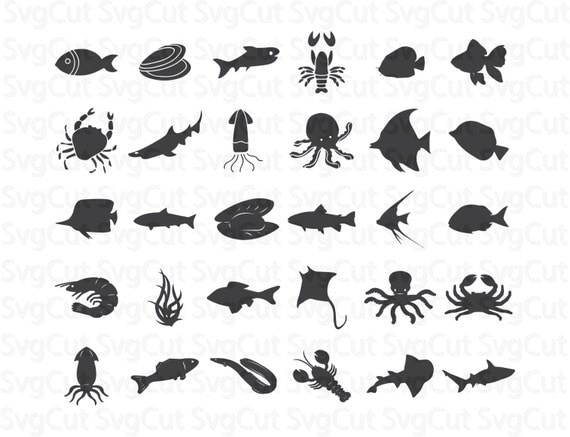 Fish SVG Monogram - Nautical animals collection - Marine ...