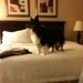 Lori Underwood