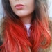 Shannon Bradbury