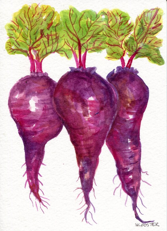 Beet painting Beets watercolors paintings by SharonFosterArt