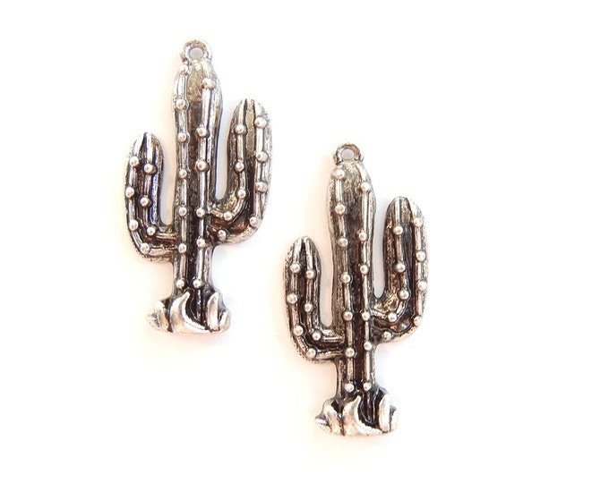Pair of Cactus Sorrel Charms Antique Silver-tone