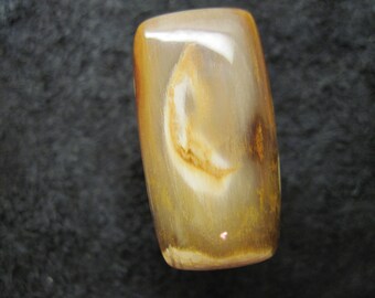 Giant sequoia petrified wood freeform cabochon