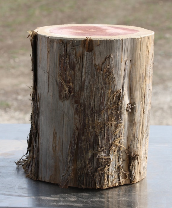 Cedar Wood Stump Reclaimed East Texas Red Cedar approx
