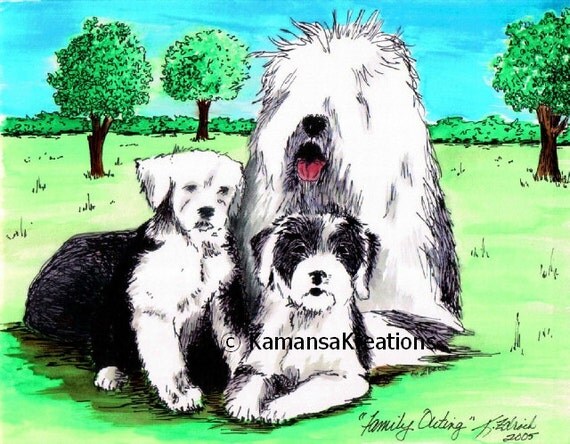 old english sheepdog coloring pages - photo #35