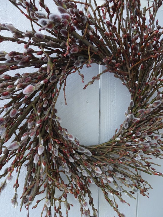 Pussy Willow Wreath Pussy Willow Natural By Donnahubbard