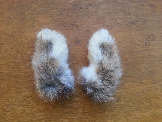 Real Dried Chestnut Rabbit Feet Front Paws Matched Pair