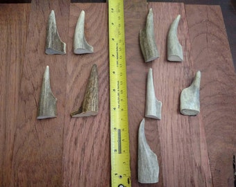 9 antler tip fork wannabees , crafts