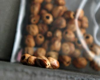 Navajo Ghost Beads, Cedar Seeds, Juniper, Native American, Loose Beads, Natural, Protection Charm, Native American Jewelry