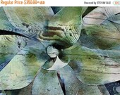 SPRING SALE Californian Agave Attenuata Plant Rustic Canvas Wall Art Print Large Canvas Succulent Print up to 60" Decor Succulent Art by Ir SPRING SALE Californian Agave Attenuata Plant Rustic Canvas Wall Art Print Large Canvas Succulent Print up to 60" Decor Succulent Art by Ir