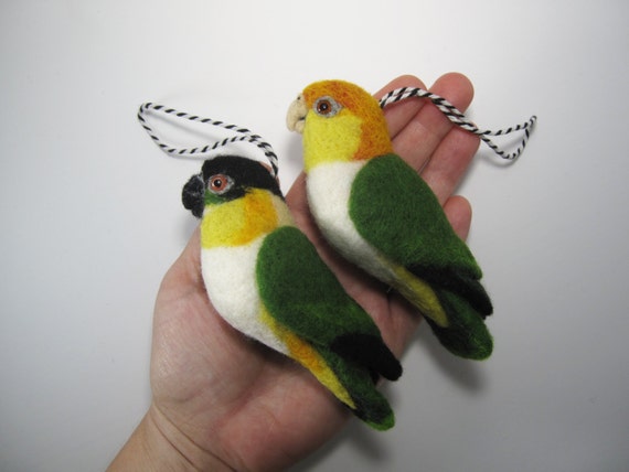 caique plush